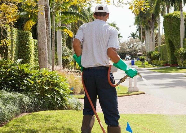 About La Joya TX Pest Control Pros